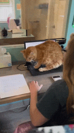 Просто гифки, всякие и&nbsp;разные