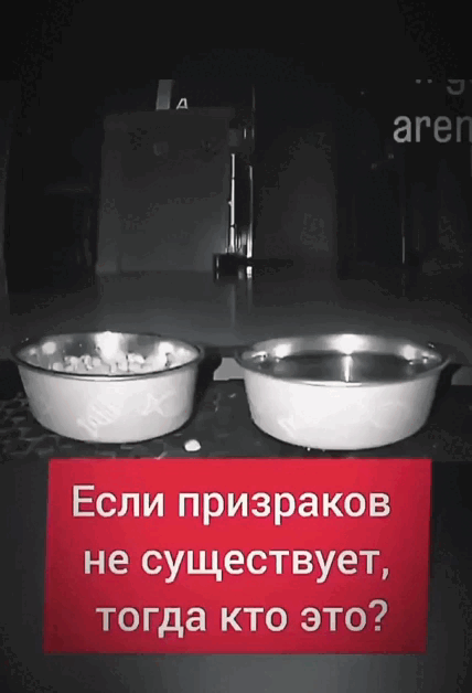 Просто гифки, всякие и&nbsp;разные