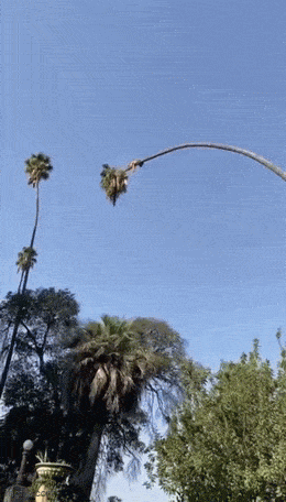 Просто гифки, всякие и&nbsp;разные