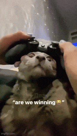 Просто гифки, всякие и&nbsp;разные