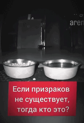 Просто гифки, всякие и&nbsp;разные