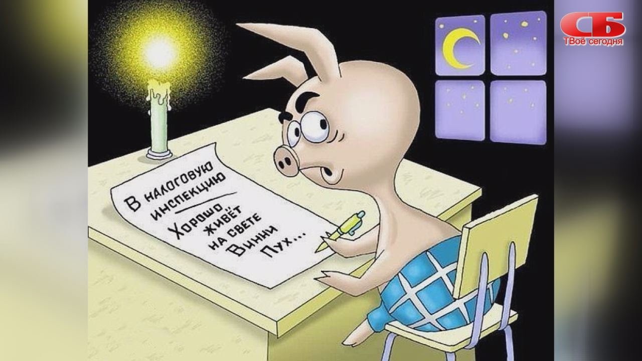 Парень создал Claw-бота для выявления налоговых косяков