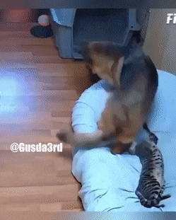 Всякие гифки