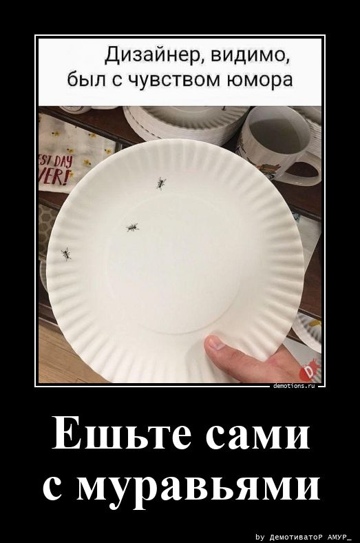 39571777435890-eshte-sami-s-muravya-demo