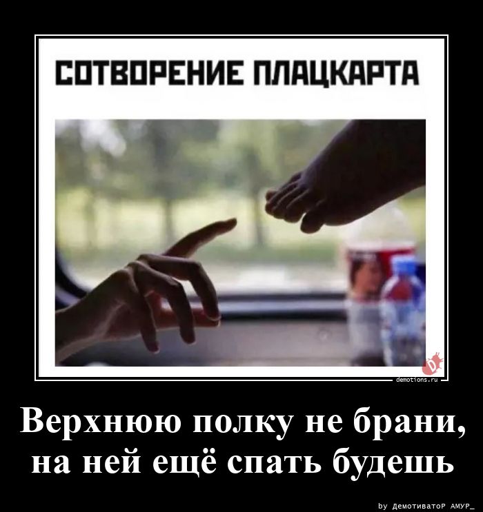 39841777640383-verhnyuyu-polku-ne-b-demo