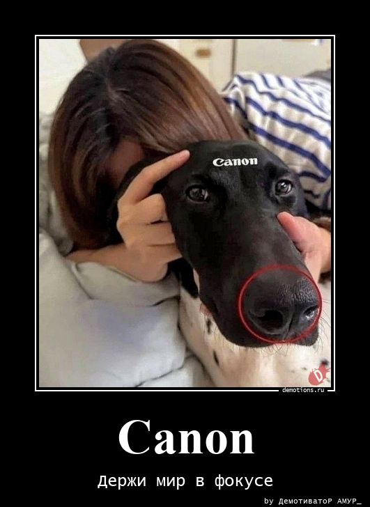 75711777684084-canon-demotions-ru.jpg