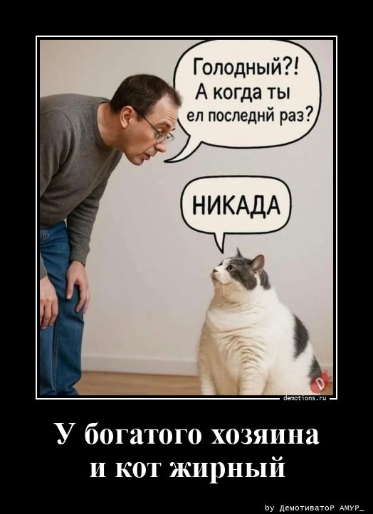 77791777606966-u-bogatogo-hozyaina--demo