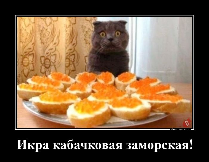 91371777620968-ikra-kabachkovaya-za-demo
