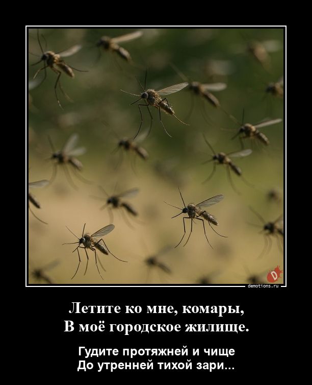 11421778774107-letite-ko-mne-komary-demo