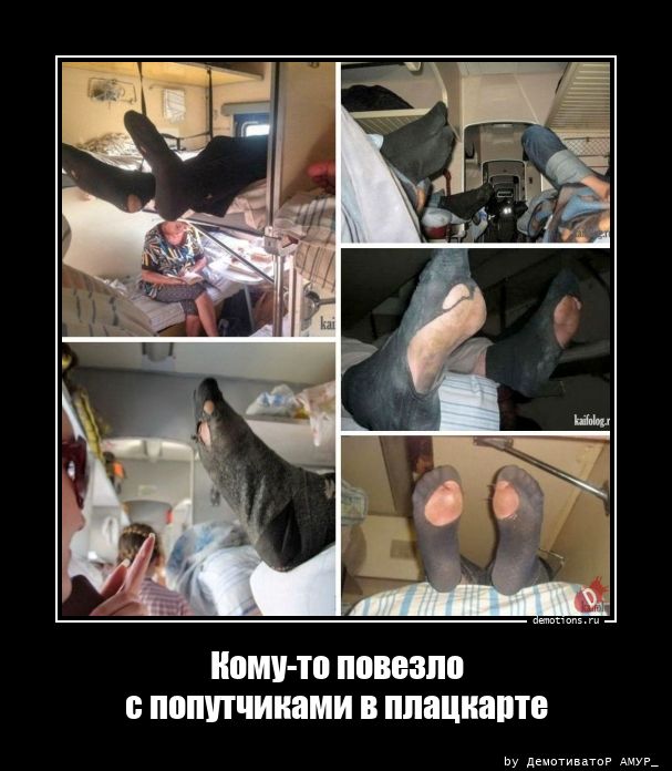 83601779011817-komu-to-povezlo-s-po-demo
