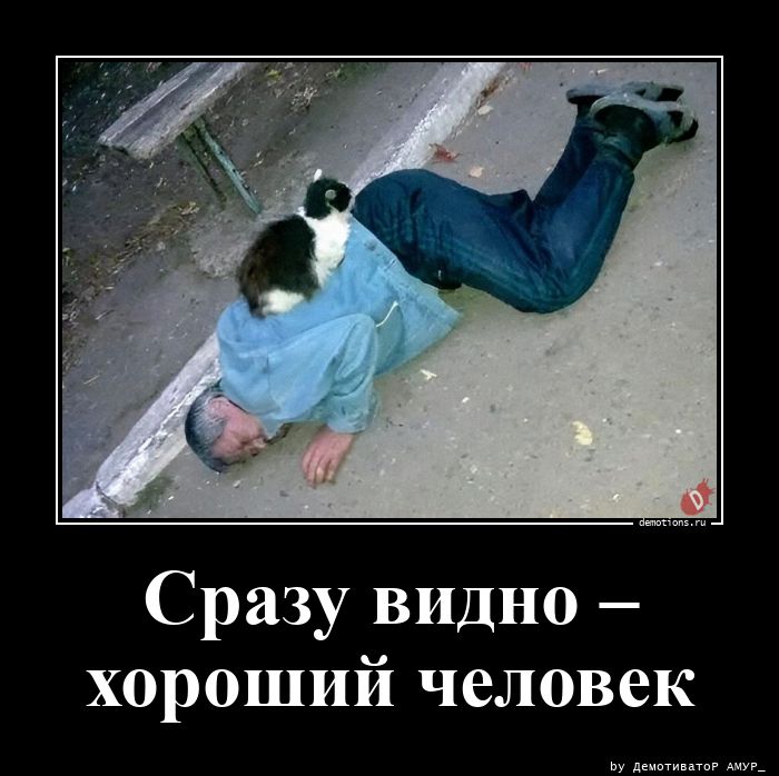 98361778588507-srazu-vidno-horoshiy-demo