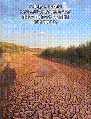 Подборка забавных и странных гифок
