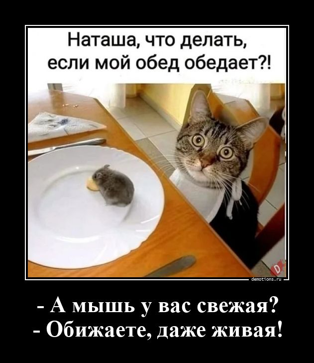65141780221237--a-mysh-u-vas-svezha-demotions-ru.jpg