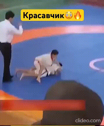 Разнообразные гифки на любой вкус.