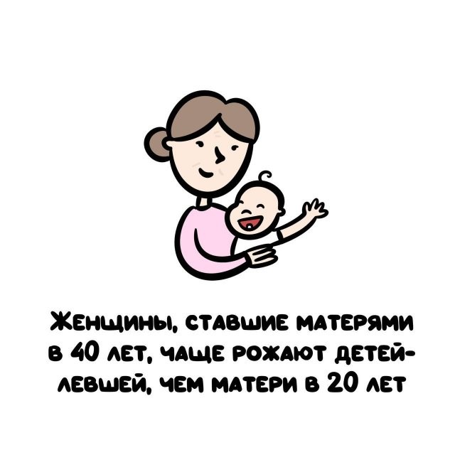 22-2026-fishki