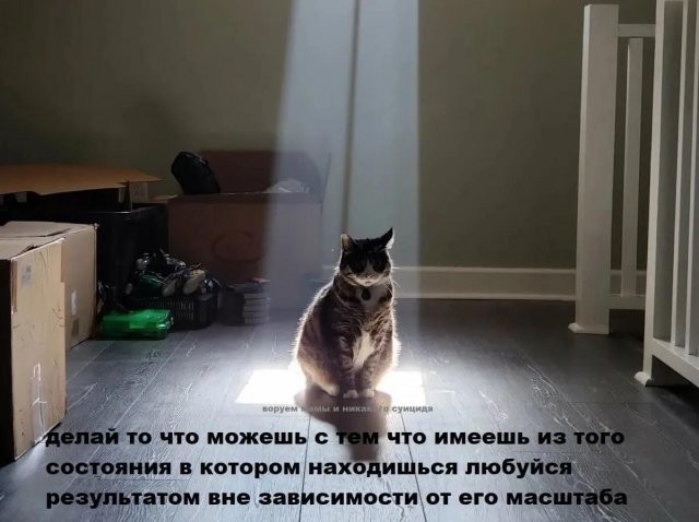 b99a4bd1594948c9875ee50d624b392b.jpg