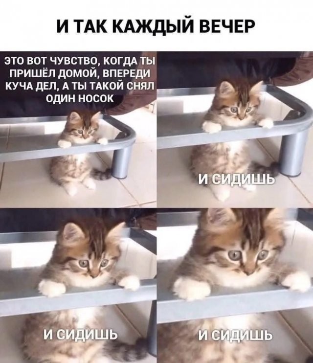 c524809ddeee465865a6e85c3554c9a4.jpg