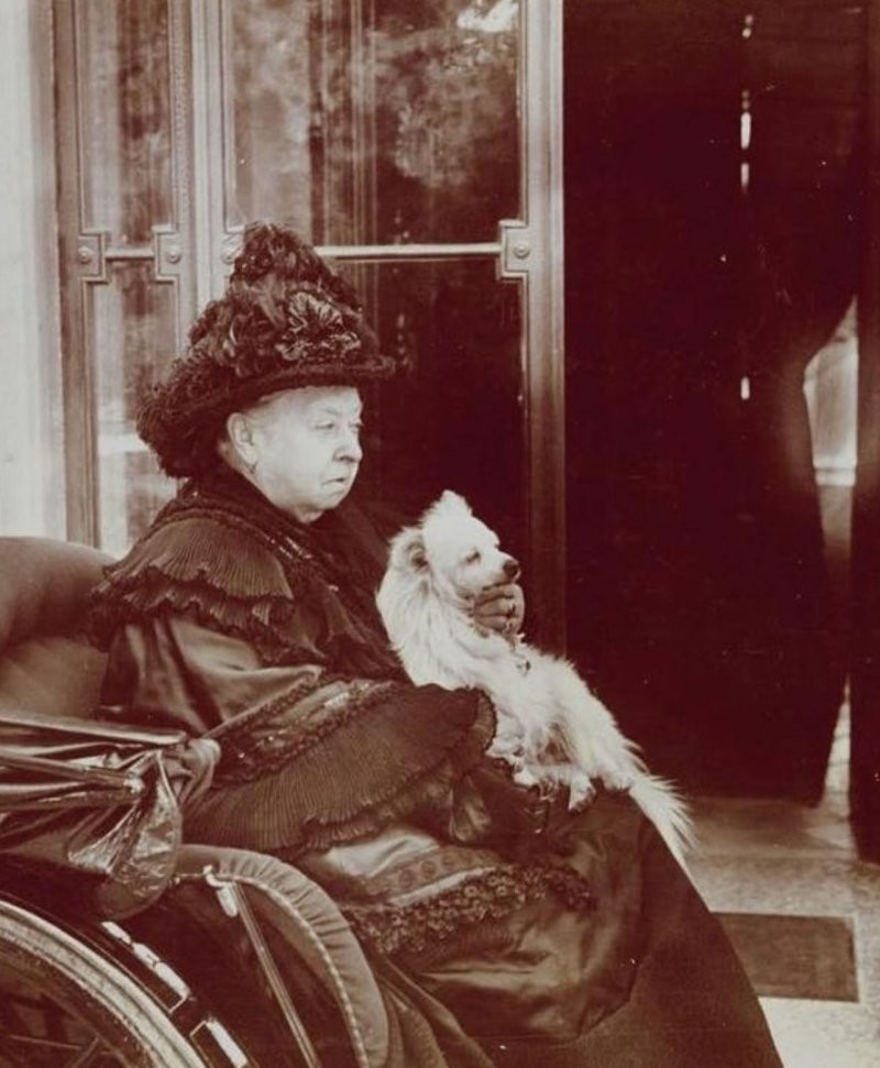 18. Королева Виктория сидит в карете со своим померанским шпицем Тури, около 1895 года