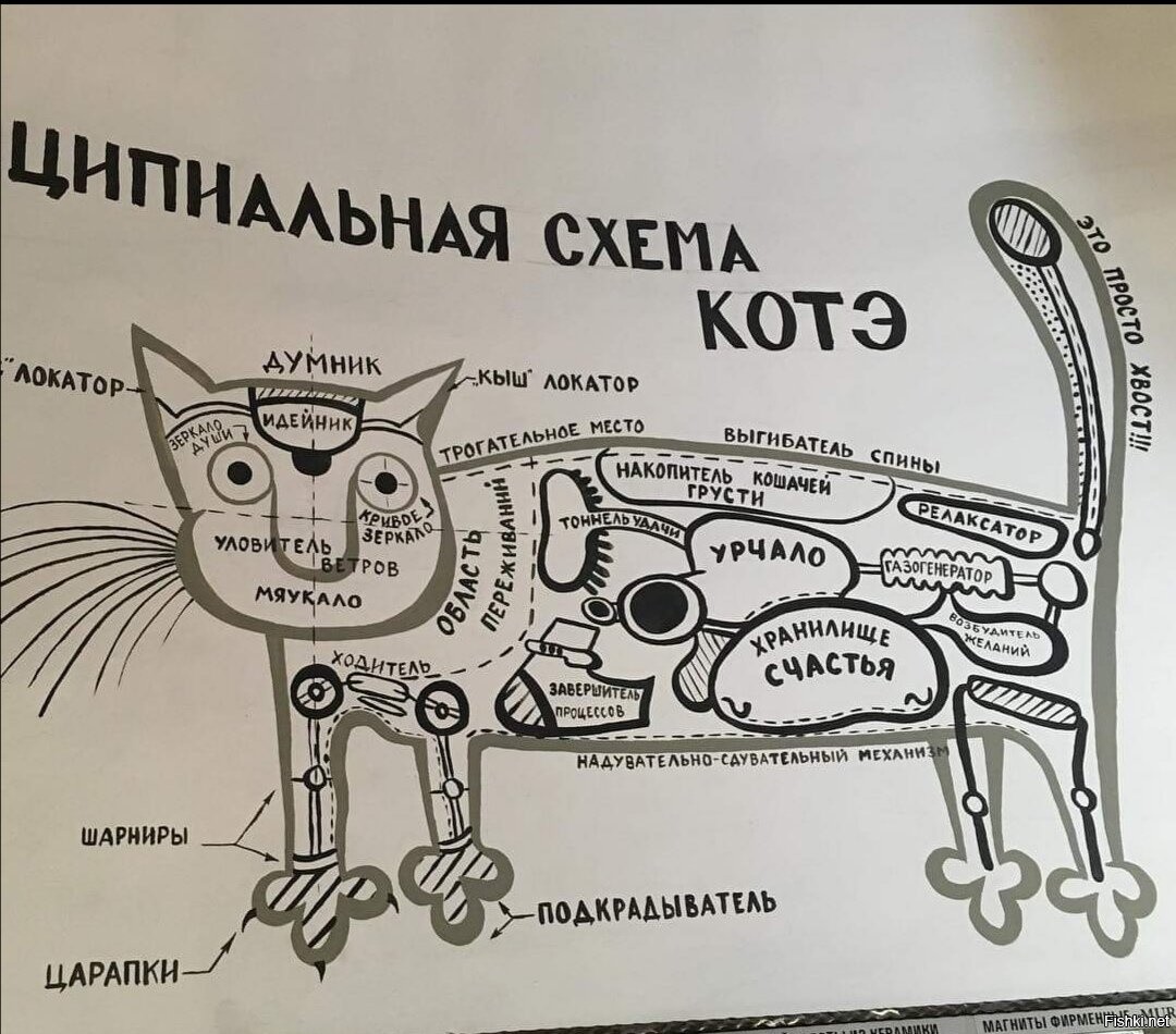 Принципиальная схема котэ