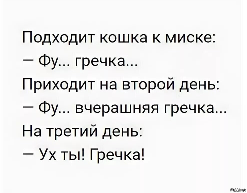 Следующем дне. Анекдот про кошку и гречку. Анекдот про кота и гречечку. Анекдот про гречку. Анекдот фу гречка.