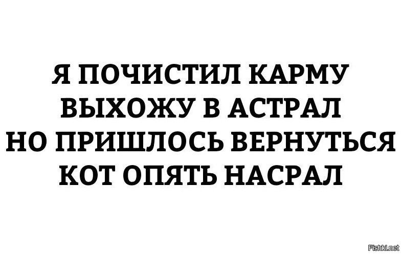 Придется вернуть. Выйти в астрал. Я почистил карму выхожу в астрал. Выхожу в астрал кот опять. Выхожу в астрал но пришлось вернуться кот.