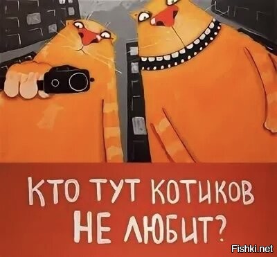 Кто котеночка обидел картинка