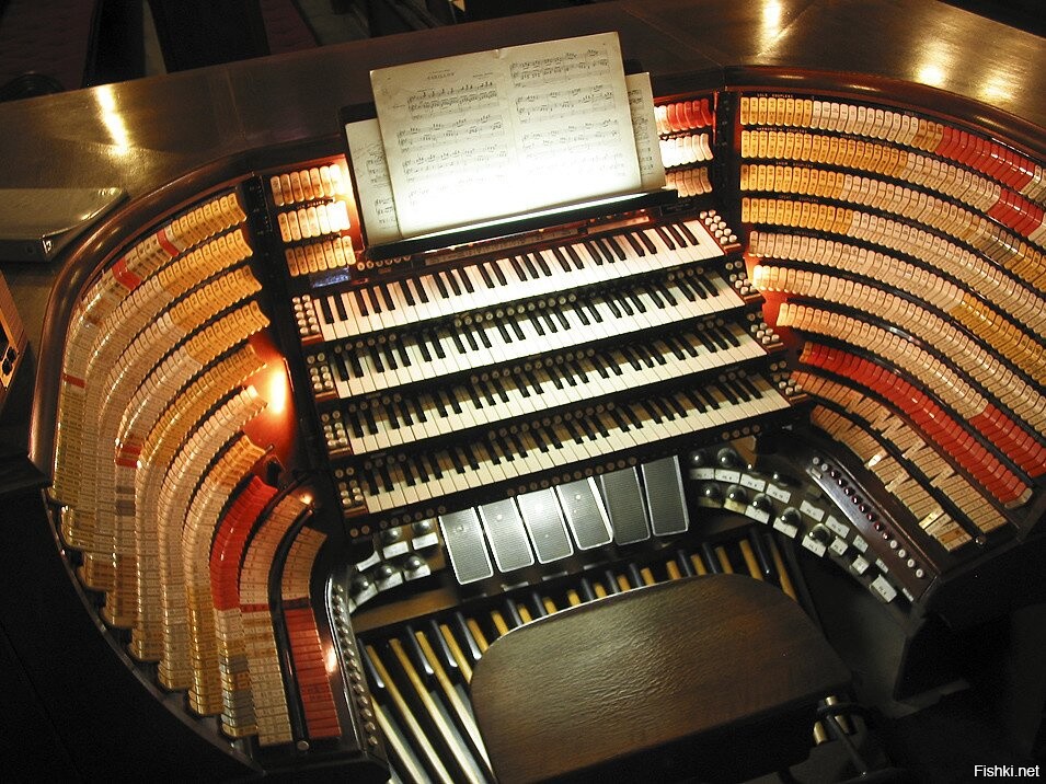 Орган музыкальный инструмент. Органы внутри. Орган внутри инструмент. Внутри органа музыкального.