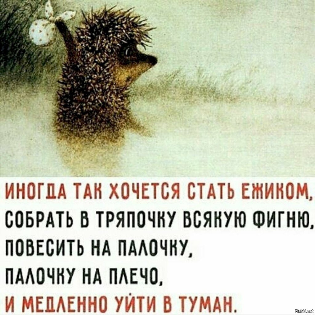 Мне захотелось уйти. Ежик в тумане цитаты. Ежик уходит в туман. Фразы из ежика в тумане. Ёжик в тумане цитаты из мультфильма.