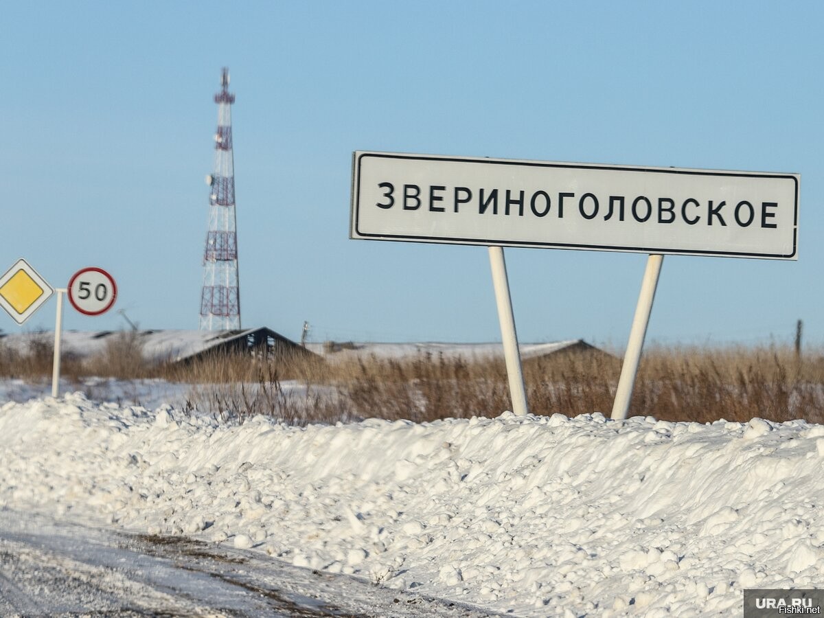 Купить Дом В Звериноголовском Курганской Области