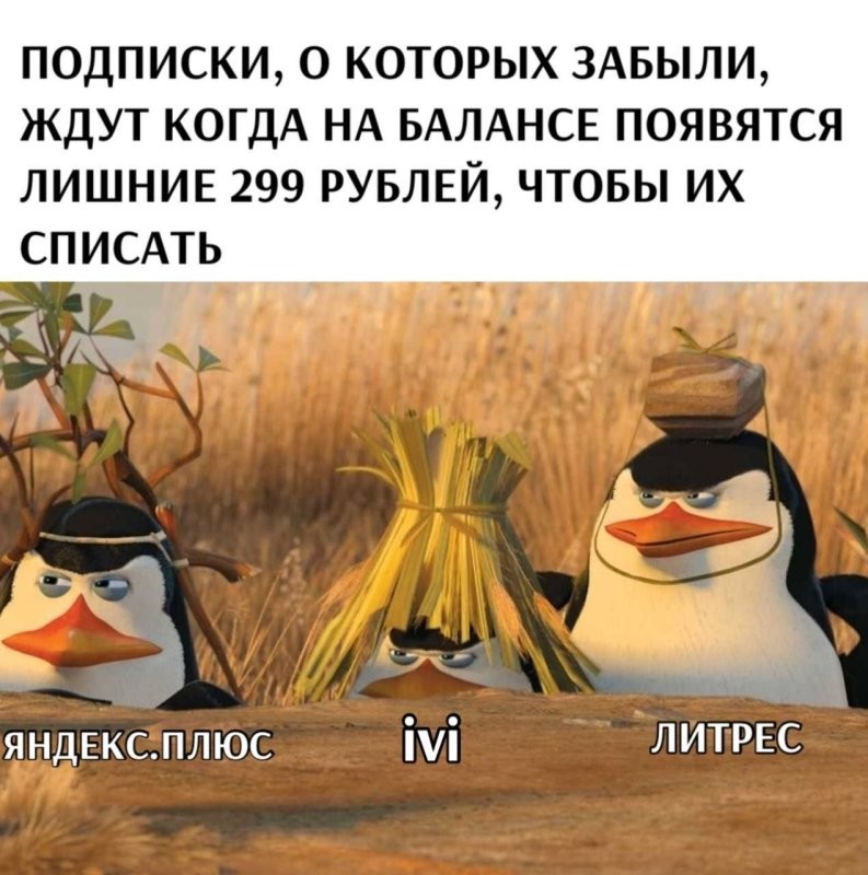 Знакомлюсь с Рутубом