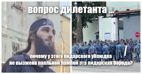 СМИ: ножовку для вскрытия решётки в ростовском СИЗО, террористы купили в изоляторе за 2,5 тысячи рублей