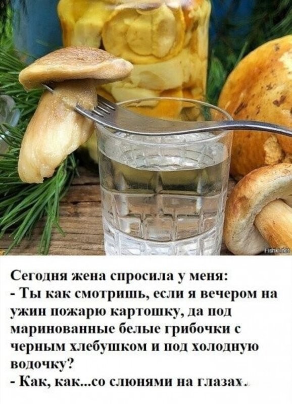 Солянка от 21.07.2024