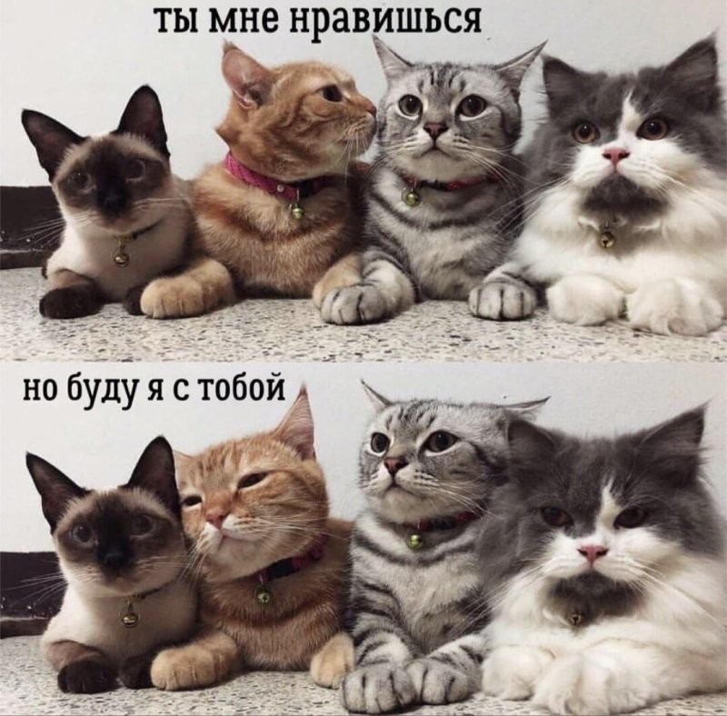 Доброе утро