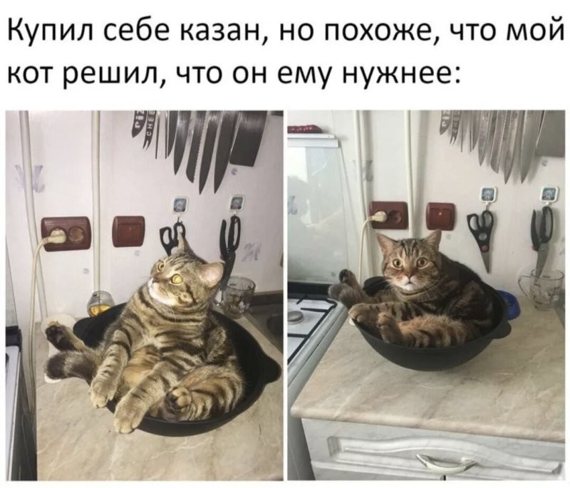 Доброе утро