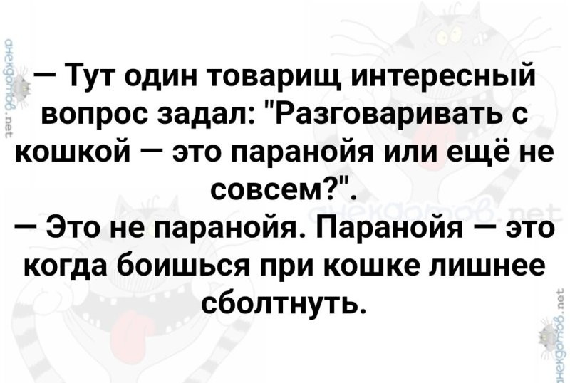 Солянка от 15.08.2024