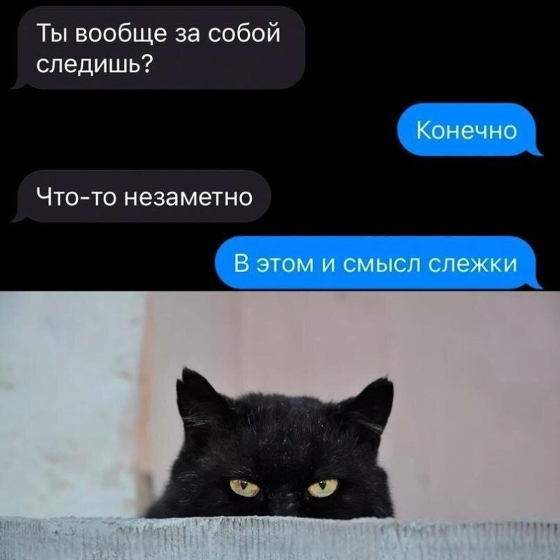 Солянка от 16.08.2024