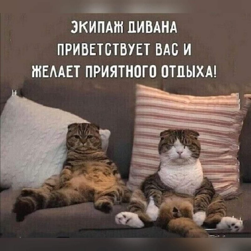 Солянка от 17.08.2024