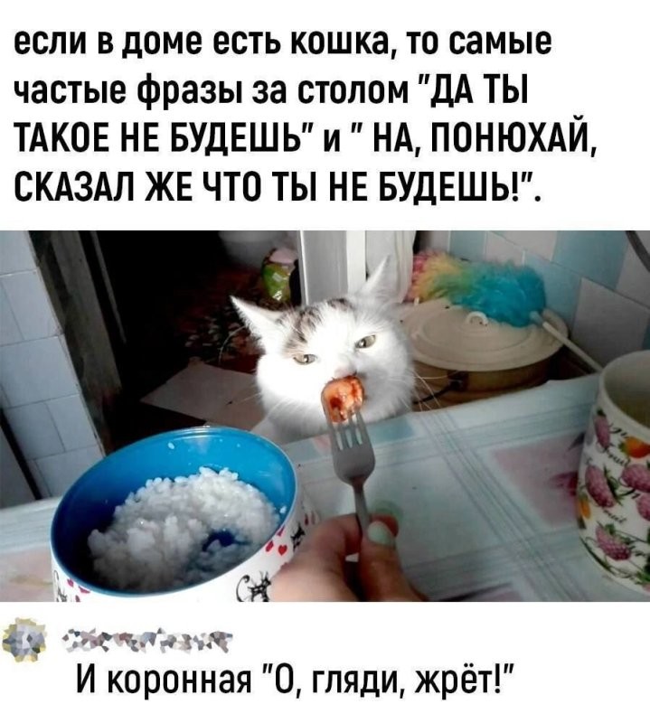 Солянка от 18.08.2024