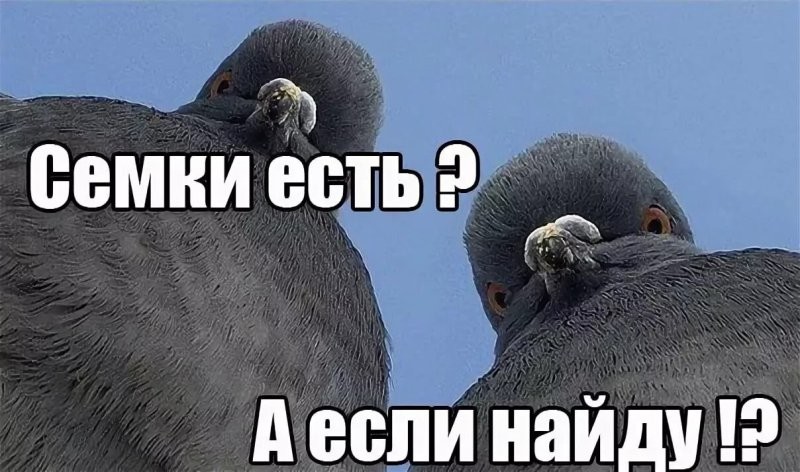 Солянка от 18.08.2024