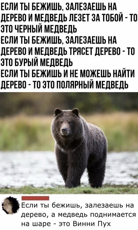 Солянка от 18.08.2024
