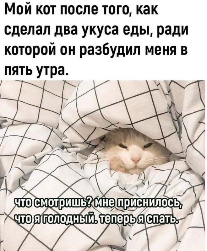 Доброе утро
