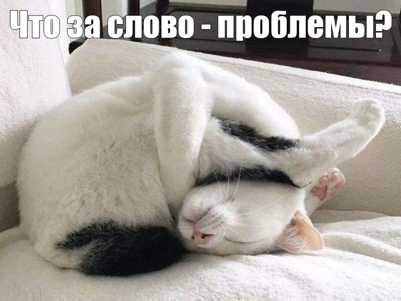 Солянка от 21.08.2024