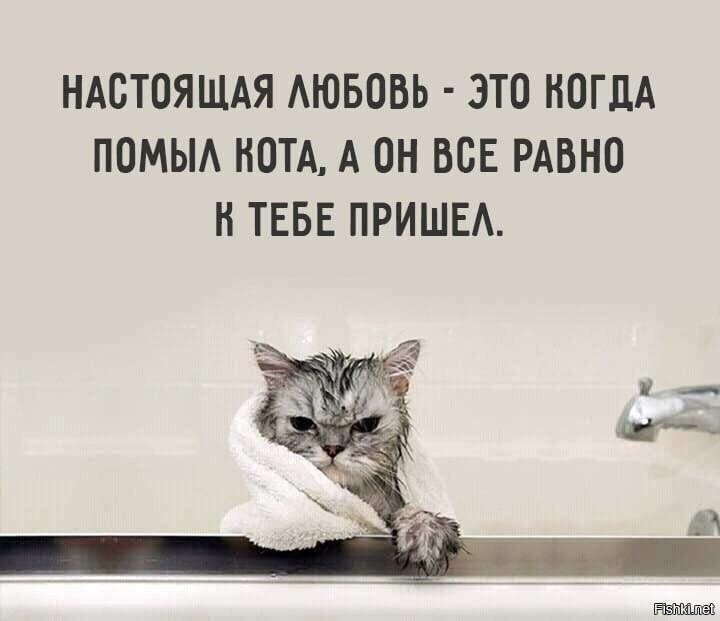 Он все равно скорее. Открытка держись все наладится. Он все равно скорее. Девушка бросает парня. Всё равно всё будет хорошо.