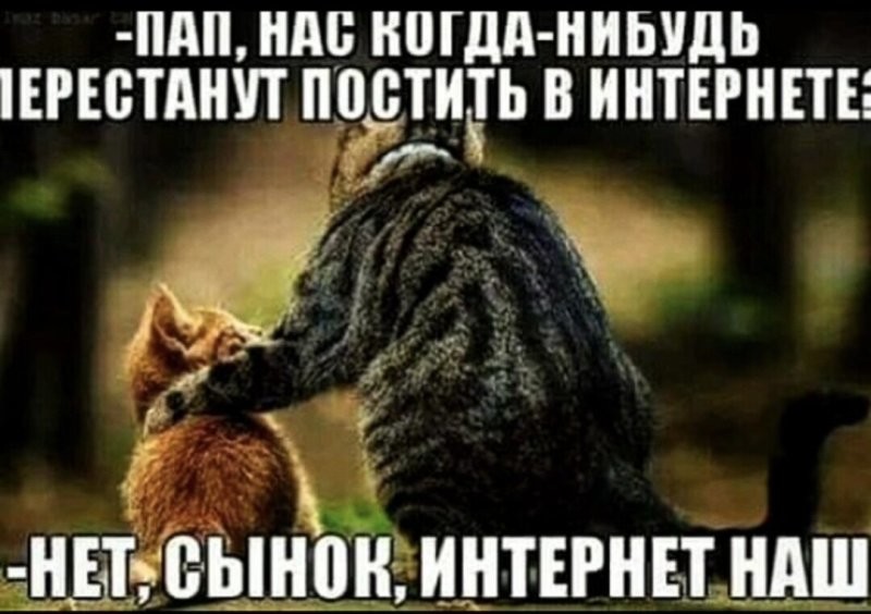 Солянка от 27.08.2024