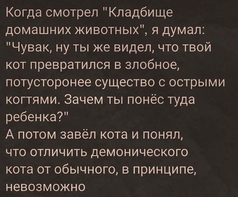 Солянка от 27.08.2024