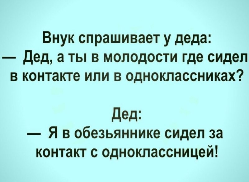 Солянка от 02.09.2024