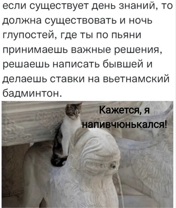 Солянка от 02.09.2024