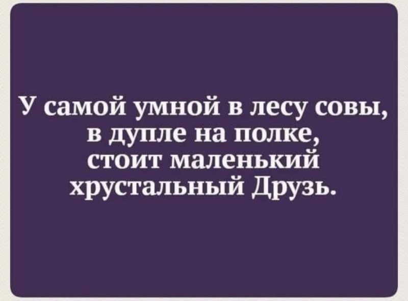 Солянка от 04.09.2024