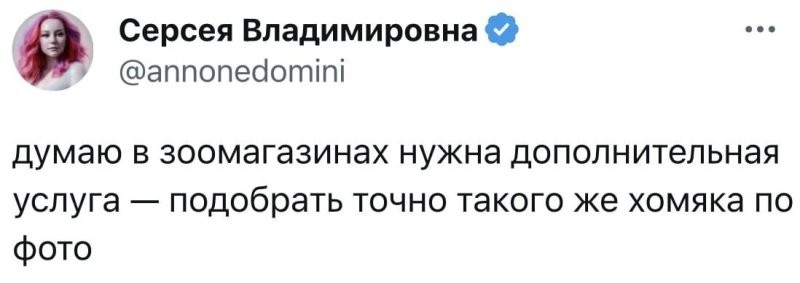 Солянка от 04.09.2024