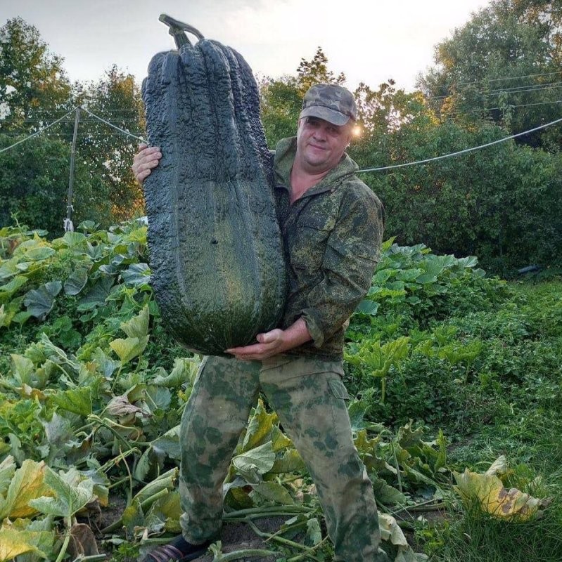 Солянка от 05.09.2024